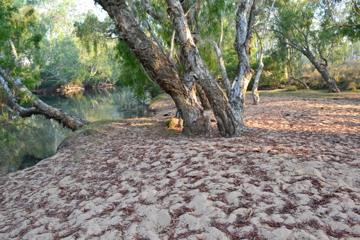 A campsite with a sandy beach