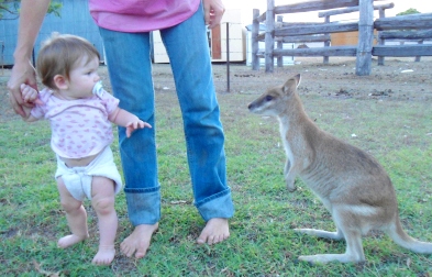 Meeting skippy